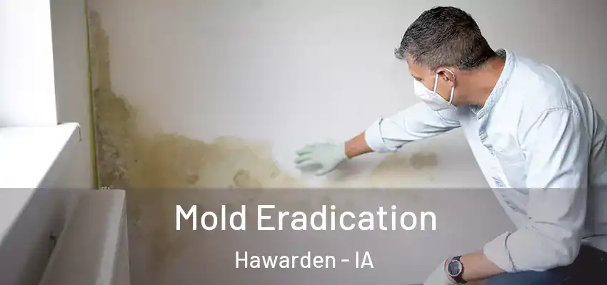  Mold Eradication Hawarden - IA