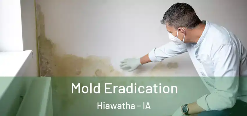 Mold Eradication Hiawatha - IA