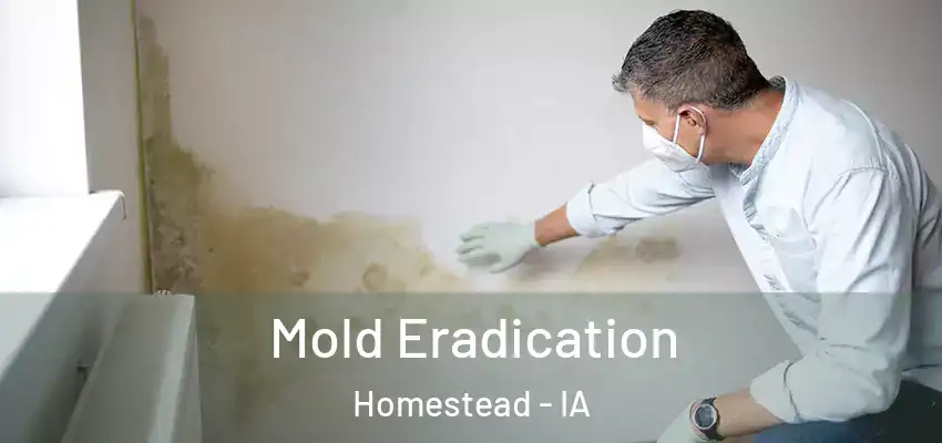  Mold Eradication Homestead - IA