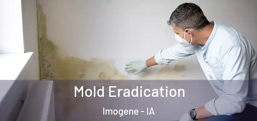 Mold Eradication Imogene - IA