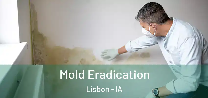 Mold Eradication Lisbon - IA