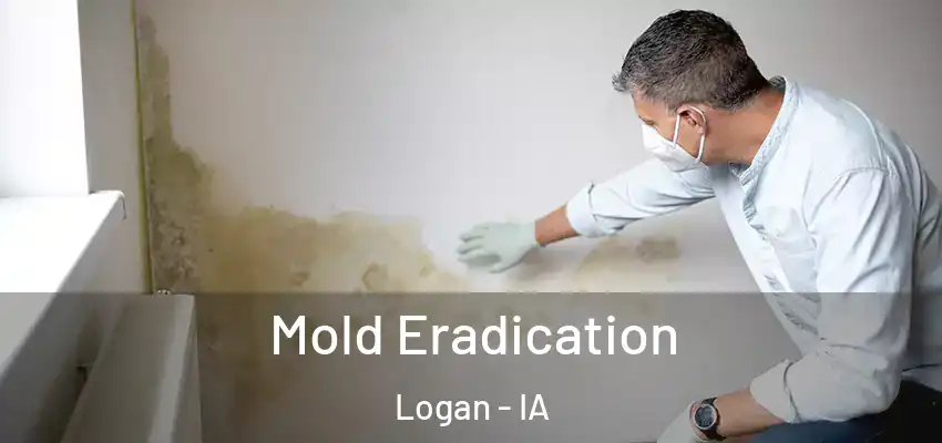  Mold Eradication Logan - IA