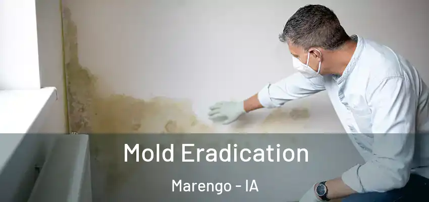  Mold Eradication Marengo - IA