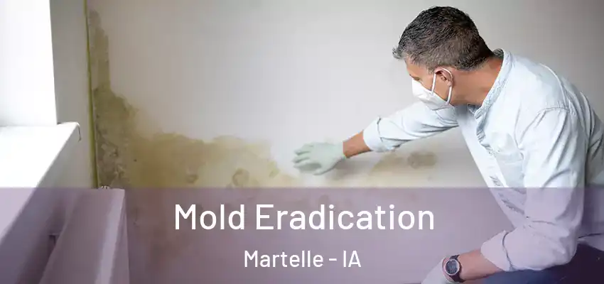 Mold Eradication Martelle - IA