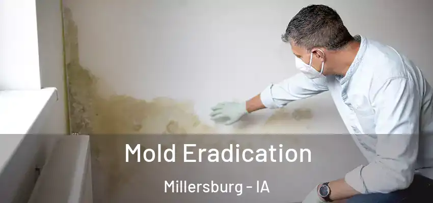  Mold Eradication Millersburg - IA