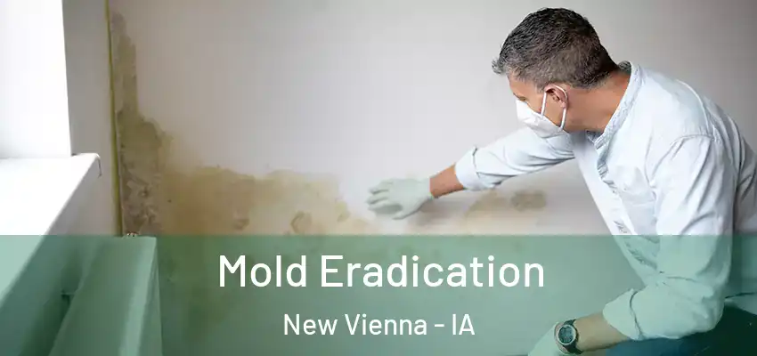  Mold Eradication New Vienna - IA