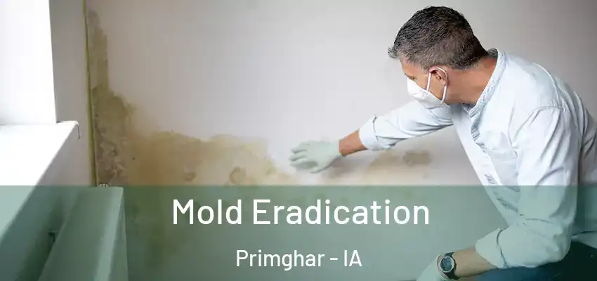 Mold Eradication Primghar - IA