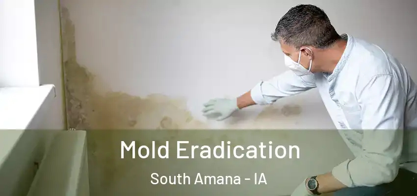  Mold Eradication South Amana - IA