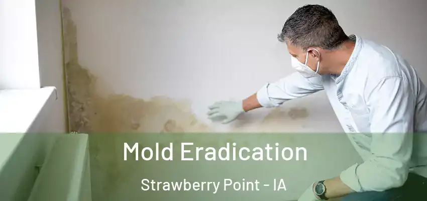 Mold Eradication Strawberry Point - IA
