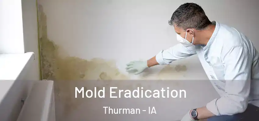  Mold Eradication Thurman - IA