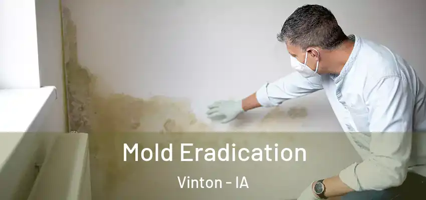  Mold Eradication Vinton - IA