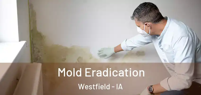  Mold Eradication Westfield - IA