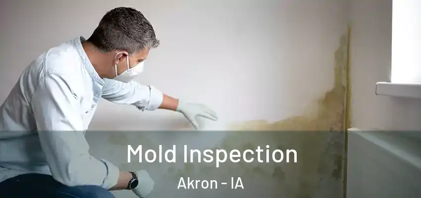 Mold Inspection Akron - IA