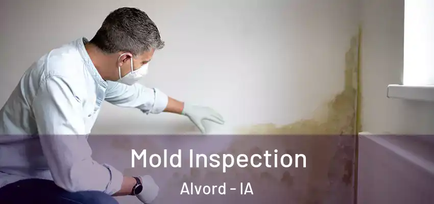 Mold Inspection Alvord - IA