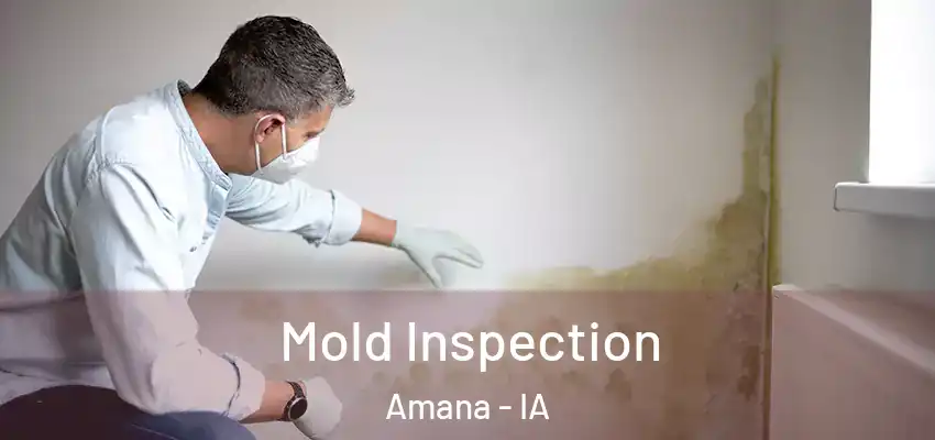  Mold Inspection Amana - IA