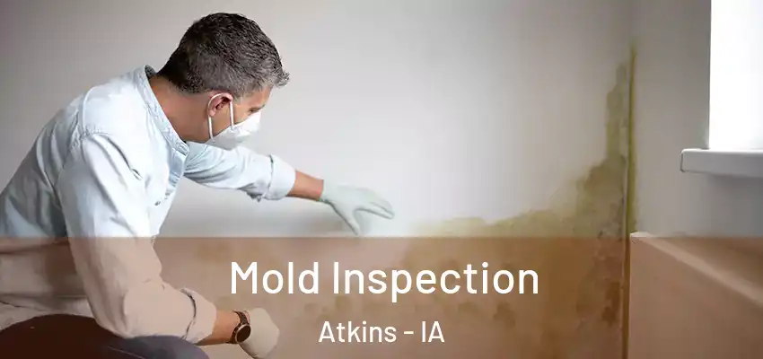 Mold Inspection Atkins - IA