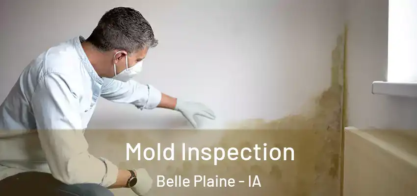 Mold Inspection Belle Plaine - IA
