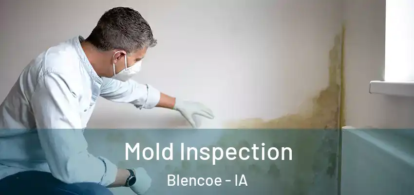 Mold Inspection Blencoe - IA