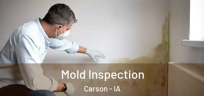 Mold Inspection Carson - IA