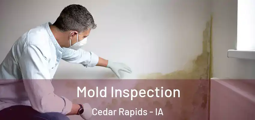  Mold Inspection Cedar Rapids - IA