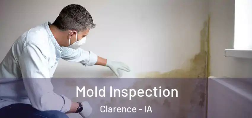  Mold Inspection Clarence - IA