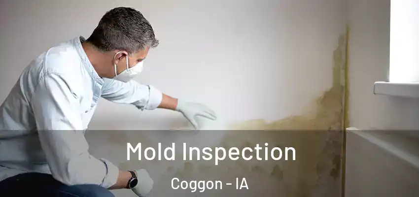 Mold Inspection Coggon - IA