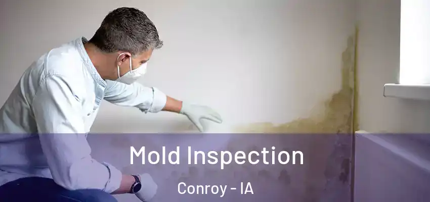  Mold Inspection Conroy - IA