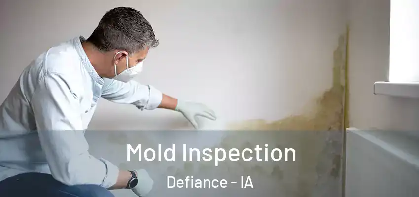 Mold Inspection Defiance - IA