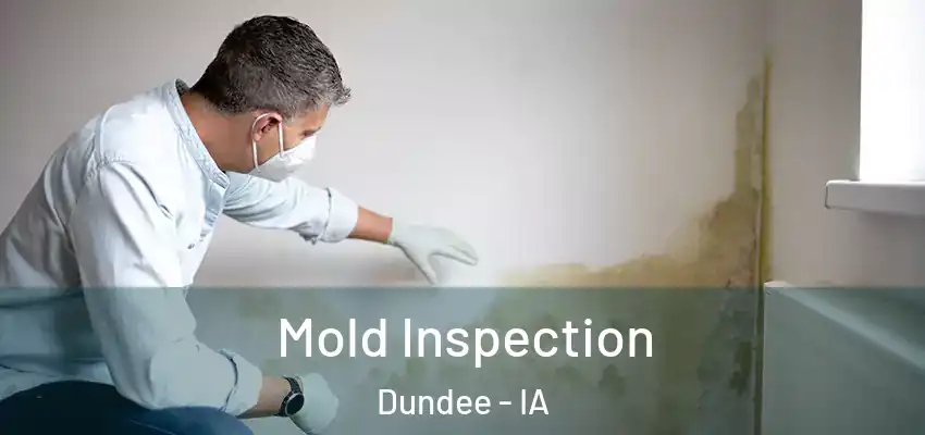  Mold Inspection Dundee - IA
