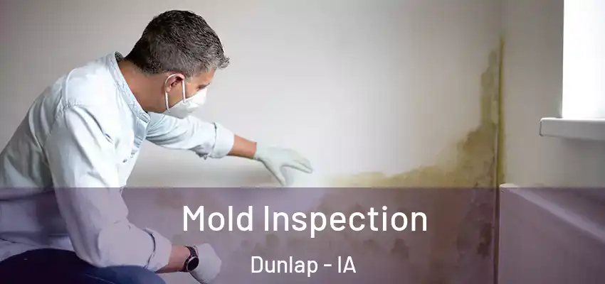  Mold Inspection Dunlap - IA
