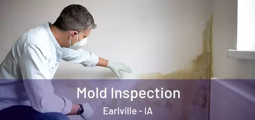  Mold Inspection Earlville - IA