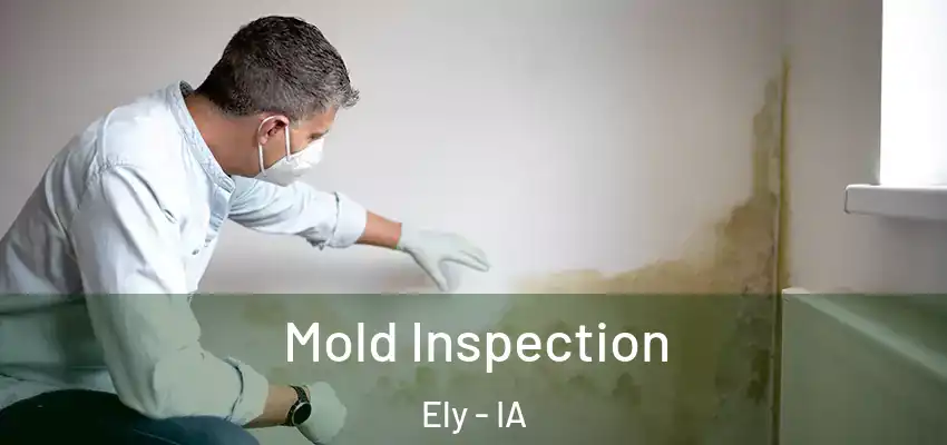 Mold Inspection Ely - IA