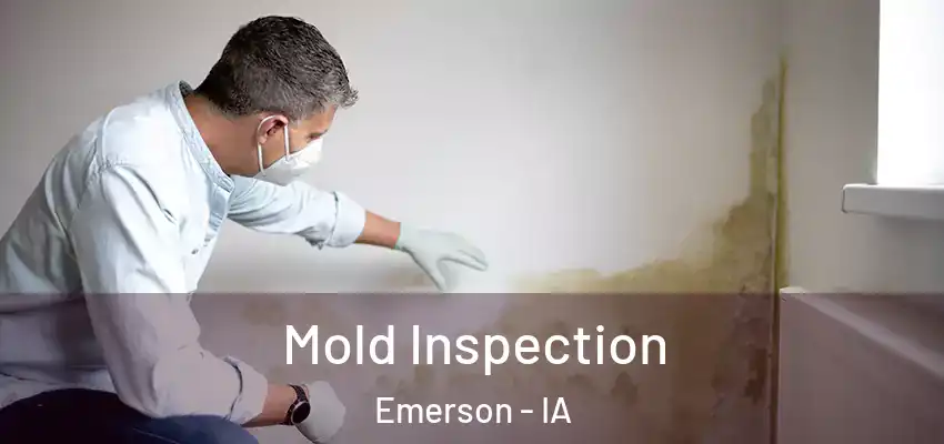 Mold Inspection Emerson - IA