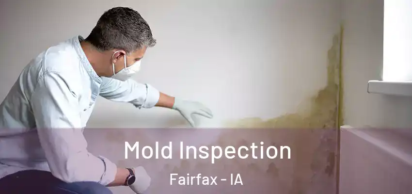Mold Inspection Fairfax - IA