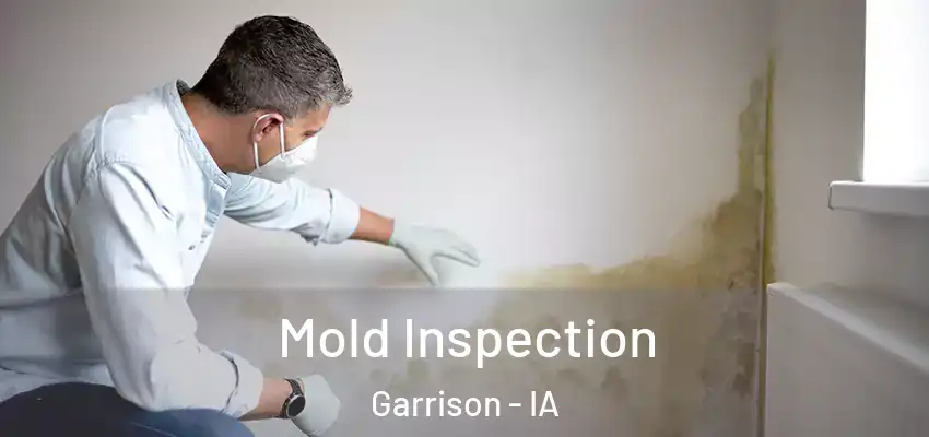 Mold Inspection Garrison - IA