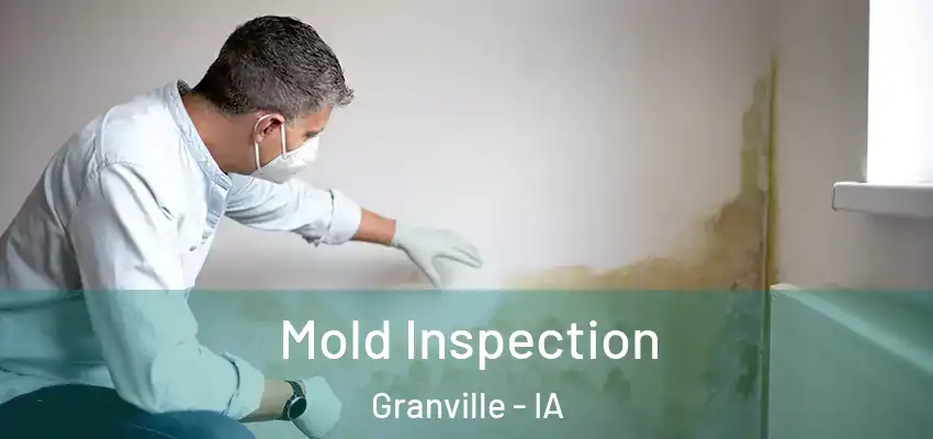  Mold Inspection Granville - IA