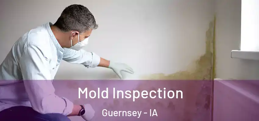  Mold Inspection Guernsey - IA