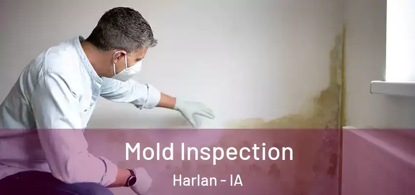  Mold Inspection Harlan - IA