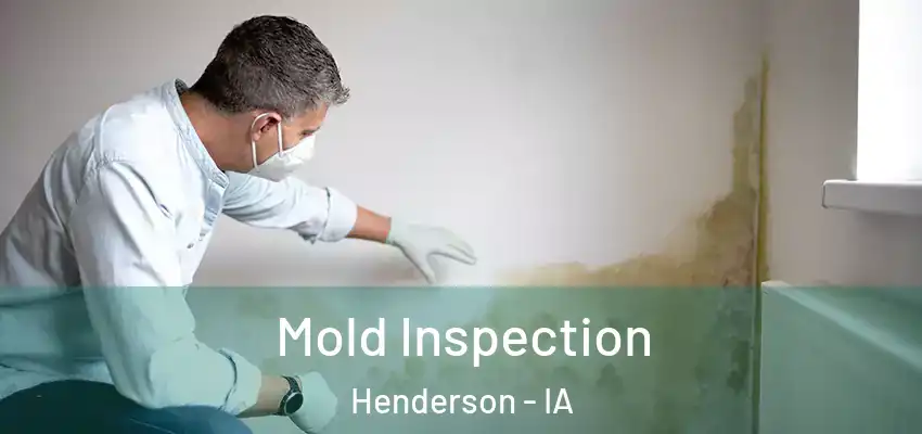  Mold Inspection Henderson - IA