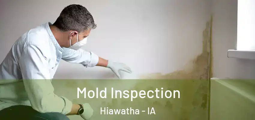  Mold Inspection Hiawatha - IA