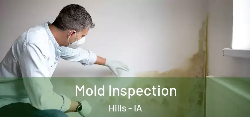 Mold Inspection Hills - IA