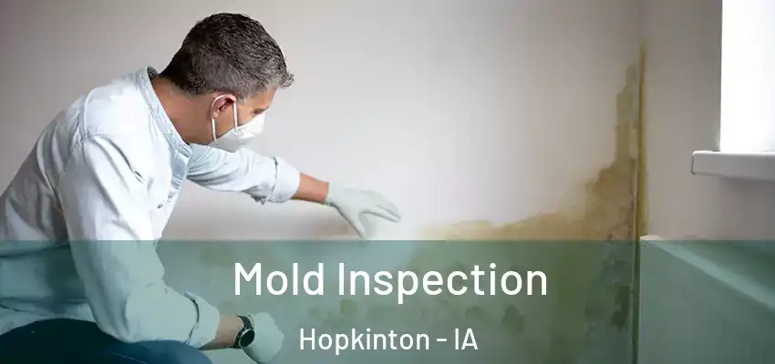  Mold Inspection Hopkinton - IA