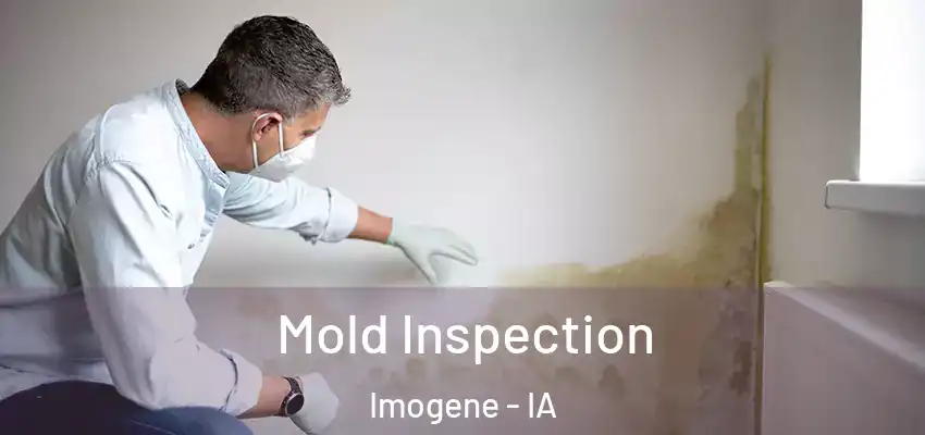  Mold Inspection Imogene - IA