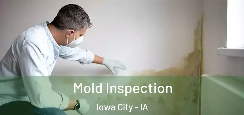  Mold Inspection Iowa City - IA
