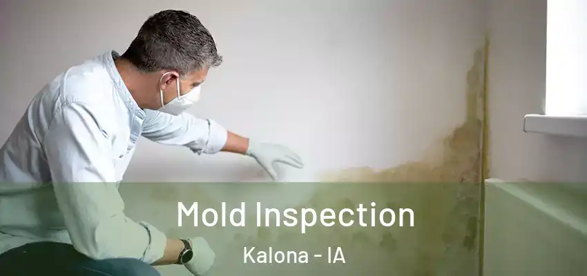  Mold Inspection Kalona - IA