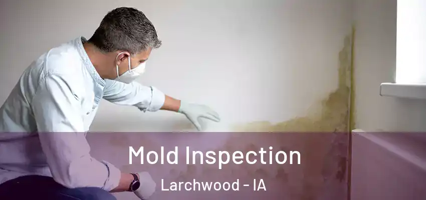 Mold Inspection Larchwood - IA