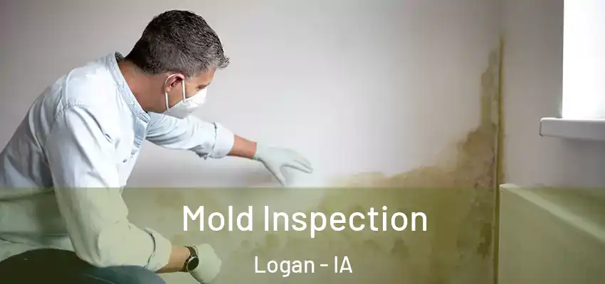 Mold Inspection Logan - IA