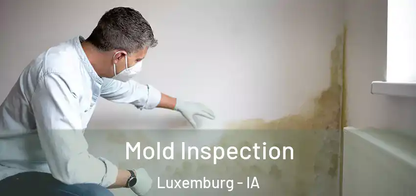  Mold Inspection Luxemburg - IA