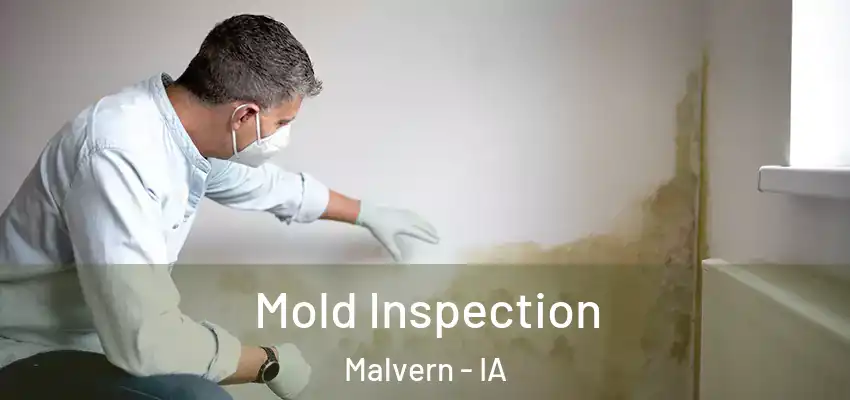 Mold Inspection Malvern - IA