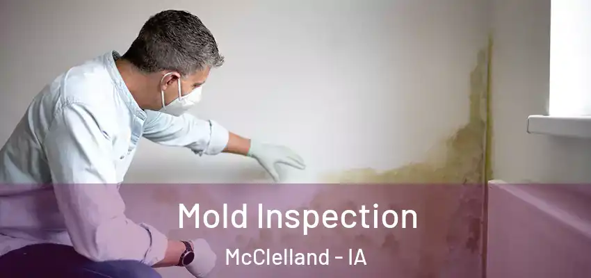 Mold Inspection McClelland - IA